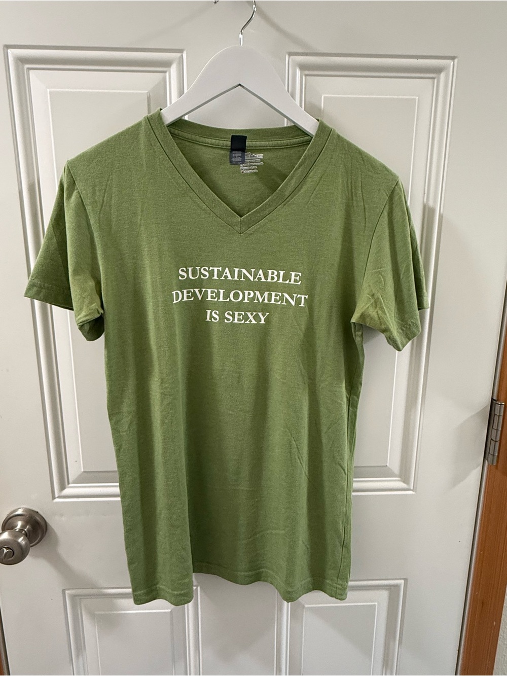 Sustainable Development Is Sexy Green V-Neck T-Shirt, Cotton